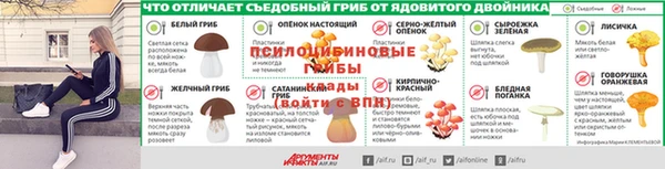 стафф Арсеньев