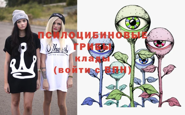 стафф Арсеньев