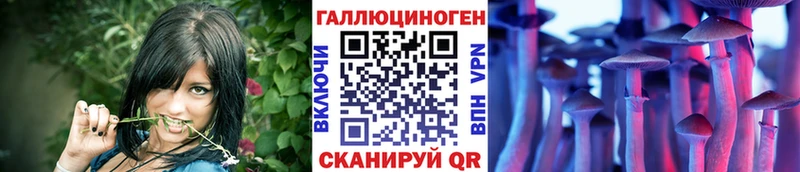 даркнет сайт  Новоалтайск  Галлюциногенные грибы мухоморы 